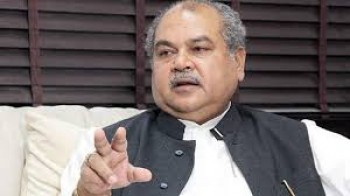 Madhya Pradesh Assembly Election 2018 Dimani Vidhan sabha Seat