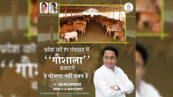 CM Kamal Nath orders officers he do not want to see cows on roads