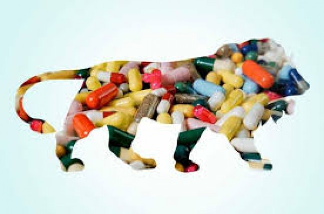 सरकार का बड़ा फैसला, मिलेगा घरेलू इकाइयों को फायदा - 75 फीसदी की खरीद घरेलू स्तर पर उत्पादित दवाओं की होगी सरकार का बड़ा फैसला, मिलेगा घरेलू इकाइयों को फायदा - 75 फीसदी की खरीद घरेलू स्तर पर उत्पादित दवाओं की होगी