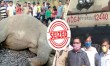 Elephant and child were killed under the train, the forest department seized the engine of the weapon of killing