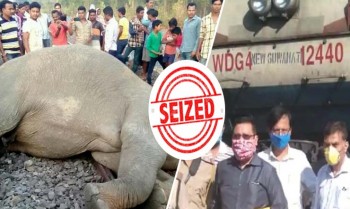 Elephant and child were killed under the train, the forest department seized the engine of the weapon of killing