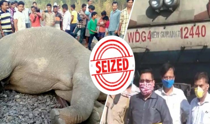 ट्रेन के नीचे आकर हुई थी हथिनी और बच्चे की मौत, वन विभाग ने हत्या का हथियार ट्रेन का इंजन सीज किया ट्रेन के नीचे आकर हुई थी हथिनी और बच्चे की मौत, वन विभाग ने हत्या का हथियार ट्रेन का इंजन सीज किया