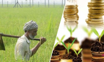 Haryanas model can increase agricultural productivity by using technology, can be beneficial for farmers: