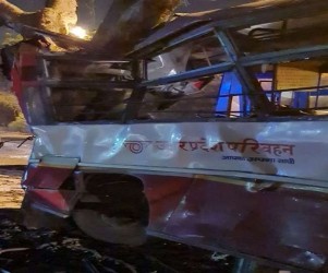 12 hospitalised in Delhi after bus coming from Agra rams roadside tree