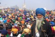 14th day of farmers protest against three new agricultural laws