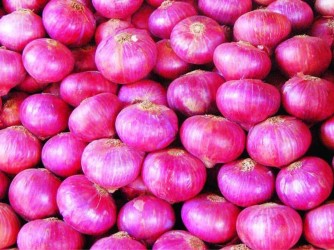 All restrictions on onion exports will end from January 1 2021