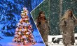 Christmas Snow: Jammu & Kashmir, Ladakh to Experience Fresh Snowfall on December 26-27