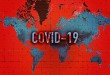 Coronavirus cases in the world reaches nearly 8 crore, More than 17 lakh people lost their lives