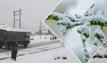 Leh freezes at minus 11.9 Gulmarg shivers at minus 5.2