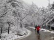 Shimla and its surrounding areas received snowfall overnight after long intervals