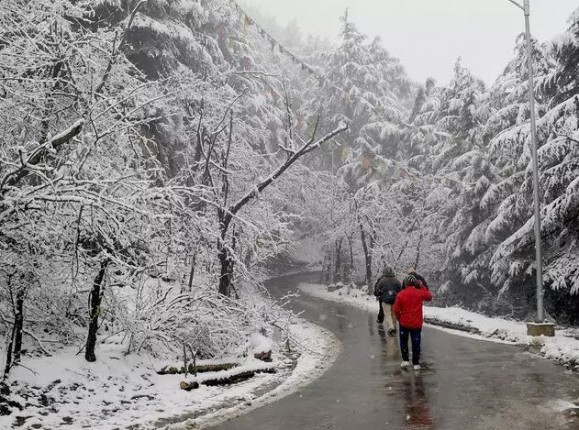शिमला में लंबे अंतराल के बाद रातभर बर्फबारी हुई, पर्यटकों की संख्या में हो सकता है इजाफा शिमला में लंबे अंतराल के बाद रातभर बर्फबारी हुई, पर्यटकों की संख्या में हो सकता है इजाफा