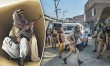 Two terrorists surrender during encounter with security forces in Kashmir