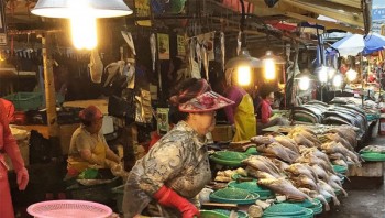 WHO to investigate Covid-19 origins in Chinas Wuhan