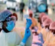 Govt says Covid vaccination likely to begin in India by January 12
