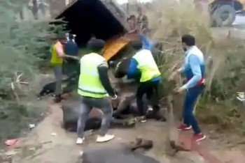Six people died, 11 injured in container accident in Amroha District